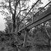 Old footbridge at Bindi Brook by peterdegraaff