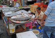 15th Feb 2015 - Fish seller Chulia Street