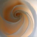 Petals Swirl by paintdipper