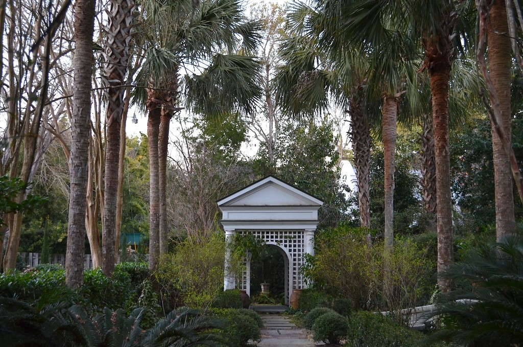 Winter garden, historic district, Charleston, SC by congaree