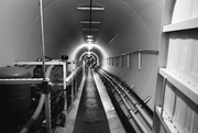 16th Feb 2015 - biosphere2 tunnel