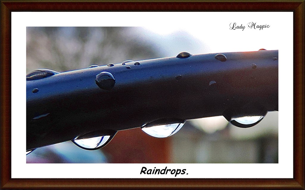 Raindrops by ladymagpie