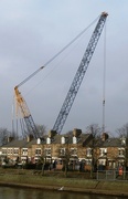 16th Feb 2015 - That's a large crane in your back garden!