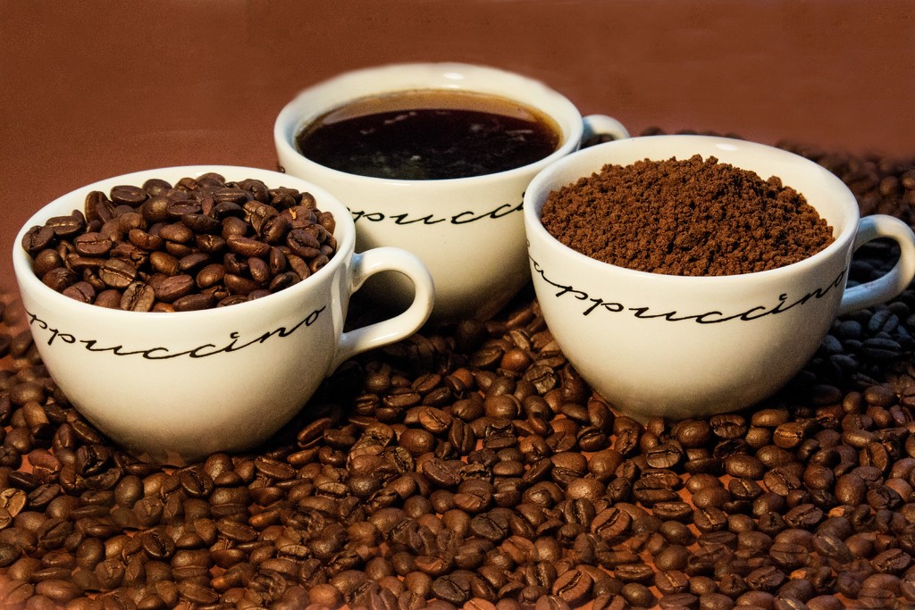 Coffee Cups by bizziebeeme