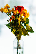 16th Feb 2015 - Vakentine Bouquet ll