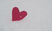 14th Feb 2015 - Red heart in snow