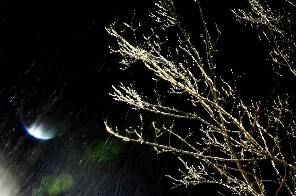 Moonlit Freezing Rain by stray_shooter
