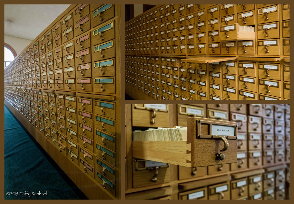 Three Perspectives: Newberry Card Catalogue by taffy