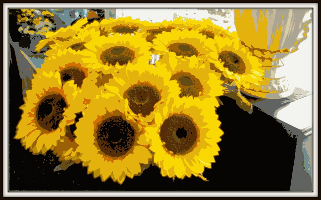 sunny sunflowers by cruiser