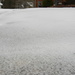 Ice on Sidewalk by sfeldphotos