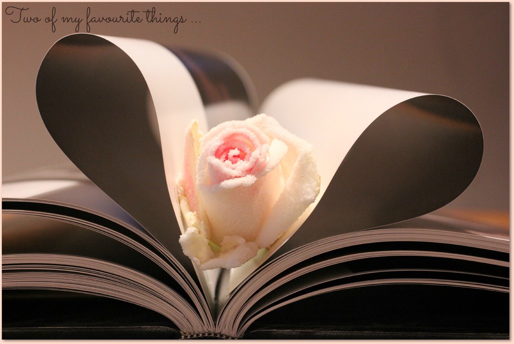 Books and Roses by jamibann