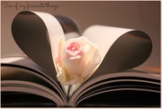 18th Feb 2015 - Books and Roses