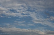 9th Sep 2010 - cloudfeather