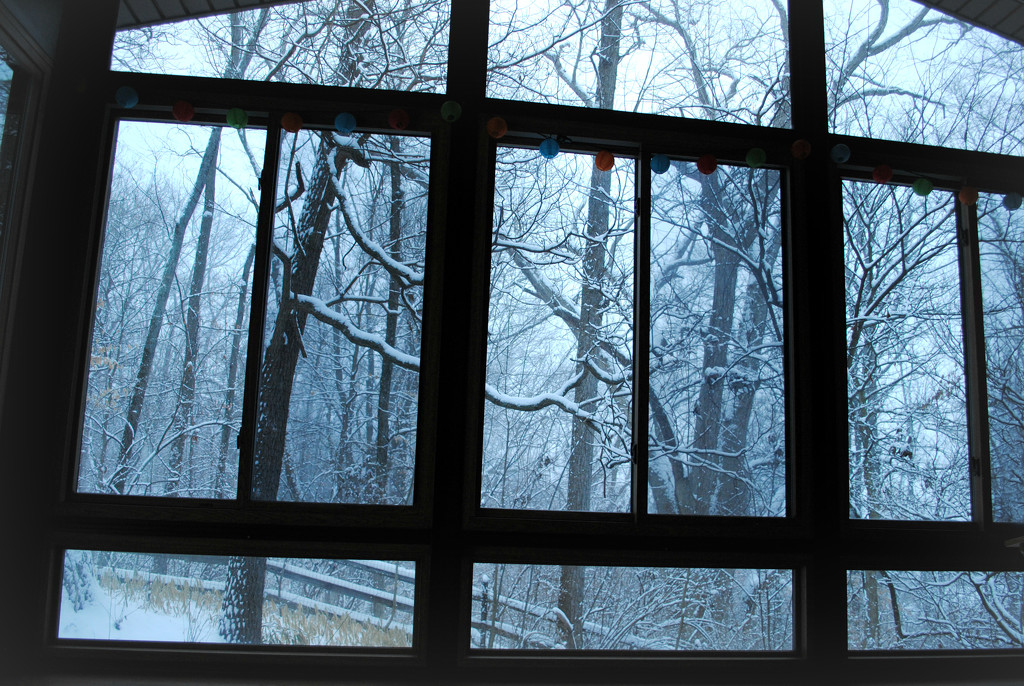Windows to the Winter Woods by alophoto