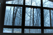18th Feb 2015 - Windows to the Winter Woods