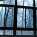 Windows to the Winter Woods by alophoto