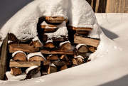 18th Feb 2015 - Wood pile or snow pile? 