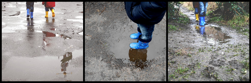 Puddles by newbank
