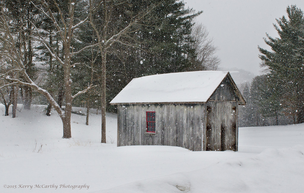 Snowy shed by mccarth1