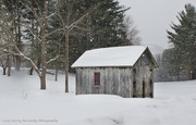 17th Feb 2015 - Snowy shed