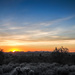 Arizona Sunset by rosiekerr