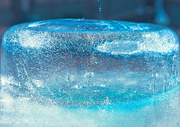 19th Feb 2015 - IMG_9434Cold-as-ICE