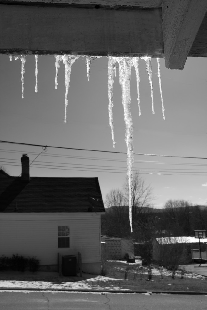 Icicles by randystreat