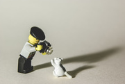 18th Feb 2015 - (Day 5) - Legographer and Kitty