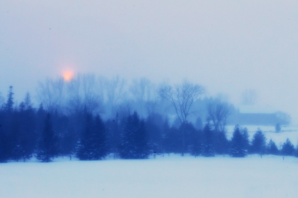 winter twilight by edie