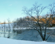 19th Feb 2015 - Icy River