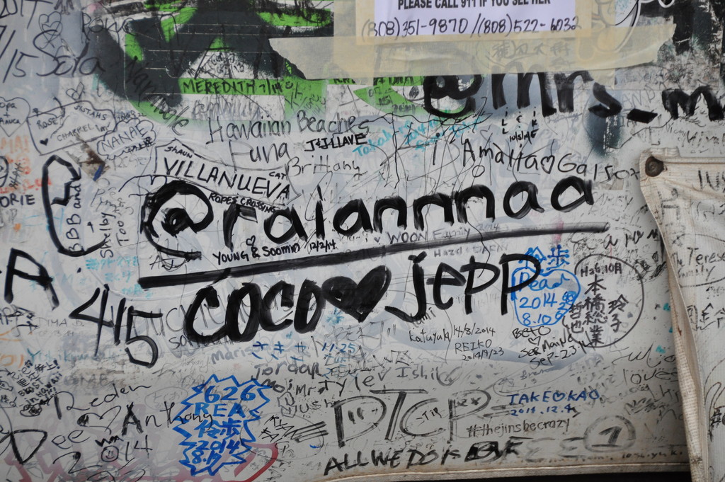 Coco loves Jepp by cocobella
