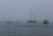 20th Feb 2015 - Unusual sea mist in summer