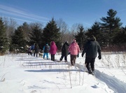 16th Feb 2015 - Follow the Leader, Snowshoe Style