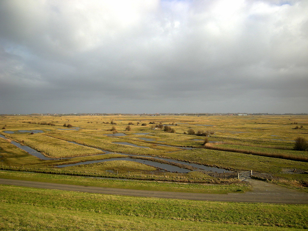 Wet lands. A view from the top of a dike . by pyrrhula
