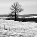 the country in winter by daisymiller