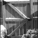Snowy Gate by allie912