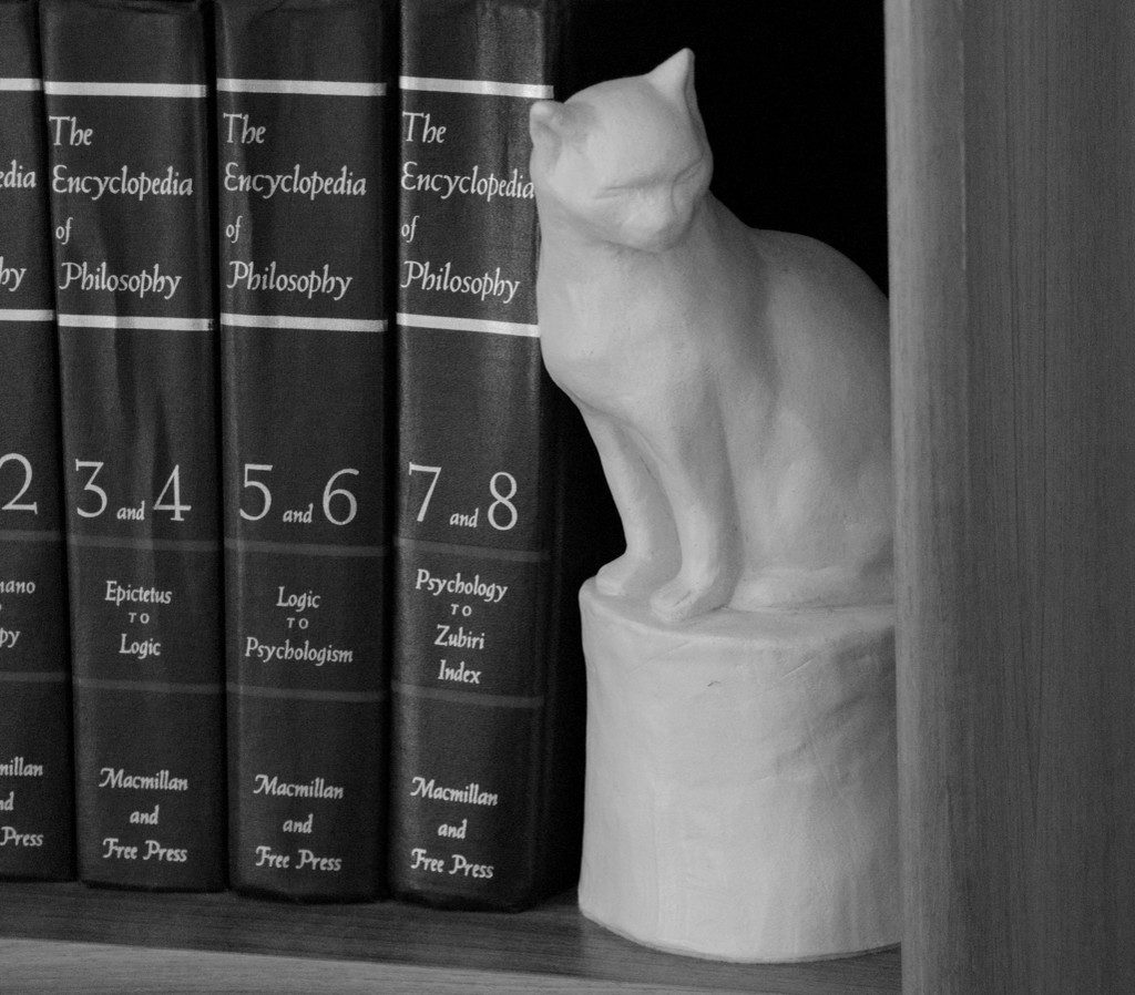 Philosophy Cat by houser934