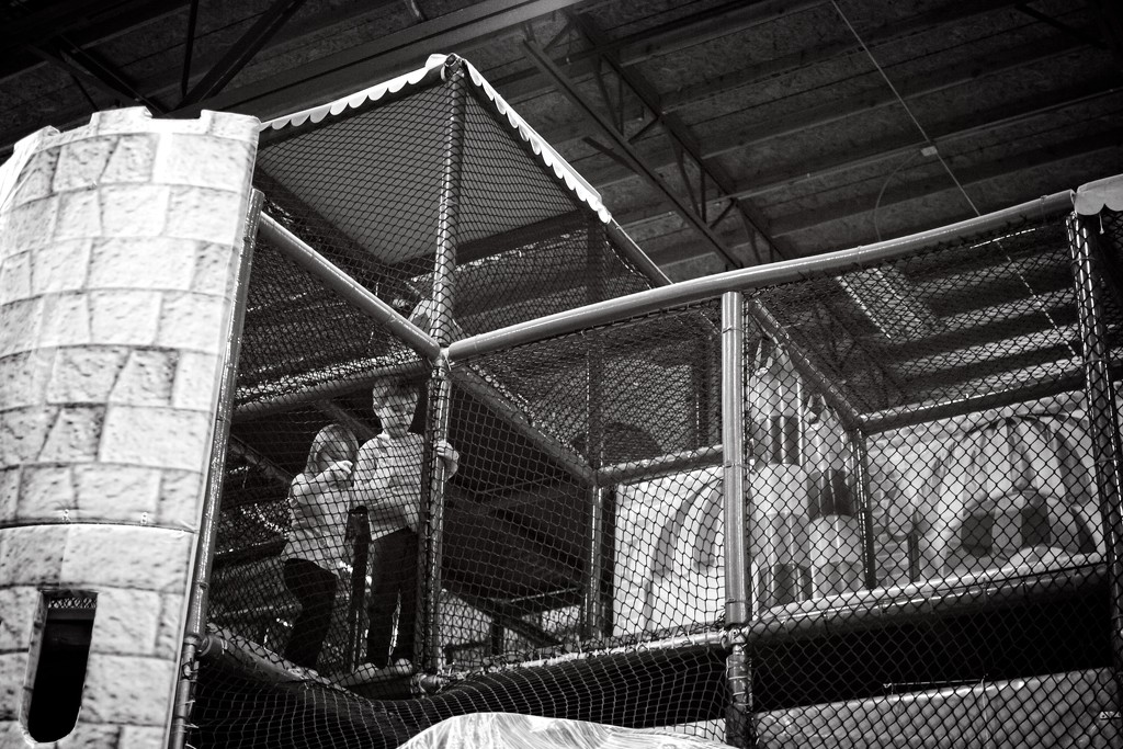 Caged Animals by tina_mac