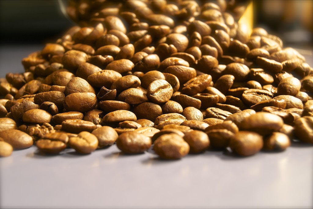 coffee beans by meemakelley