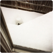 21st Feb 2015 - Snowy Rooftops