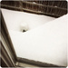 Snowy Rooftops by yogiw
