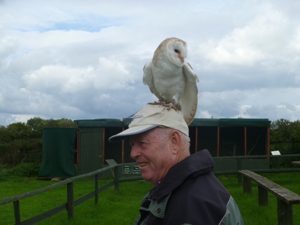 Barn owl by kyfto