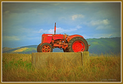 22nd Feb 2015 - Tractor on the trough
