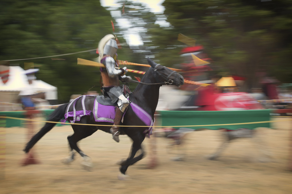 The Joust by helenw2