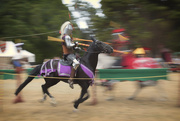 22nd Feb 2015 - The Joust