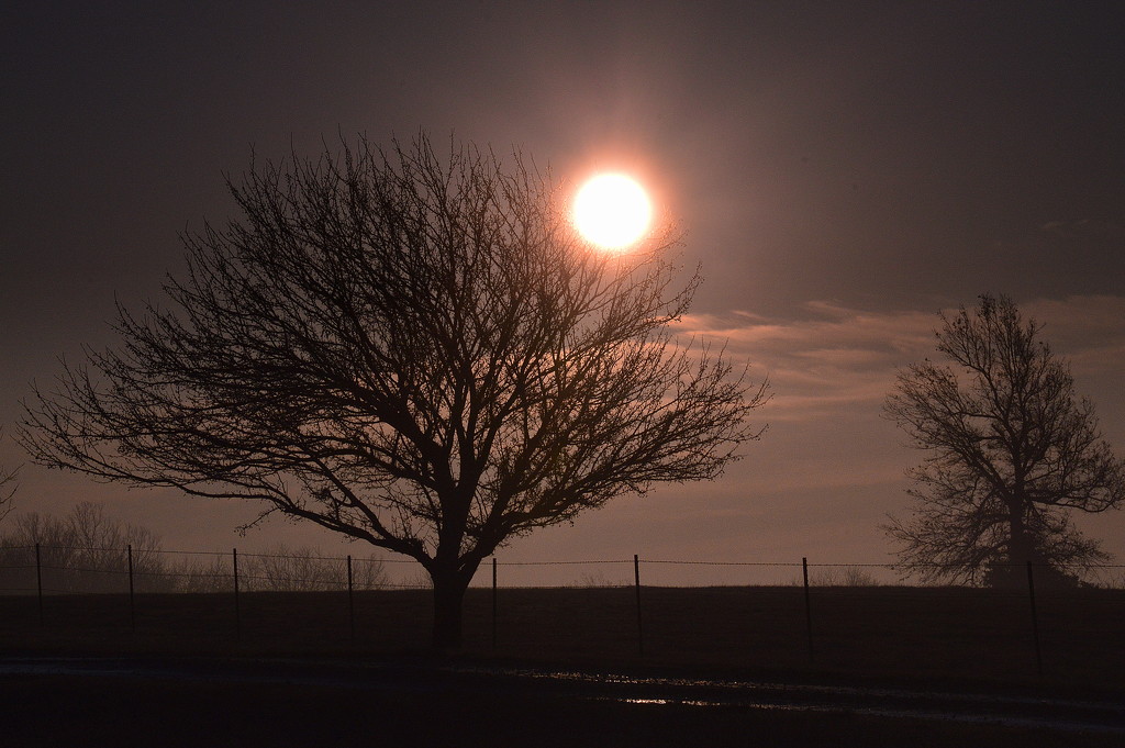 Sun on a Foggy Kansas Morning by kareenking