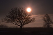 22nd Feb 2015 - Sun on a Foggy Kansas Morning