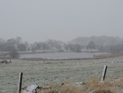 22nd Feb 2015 - A wintry view