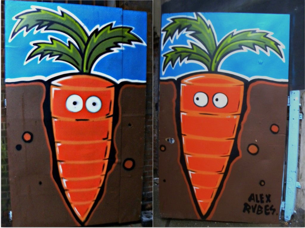 Carrots by oldjosh