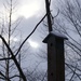 new birdhouse by amyk